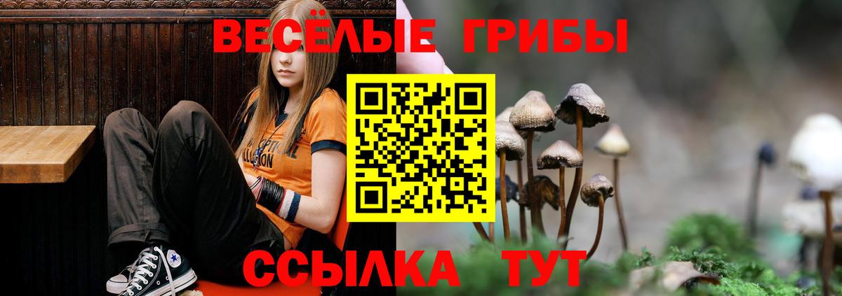 Кимры  Псилоцибиновые грибы мухоморы  Вход с VPN 